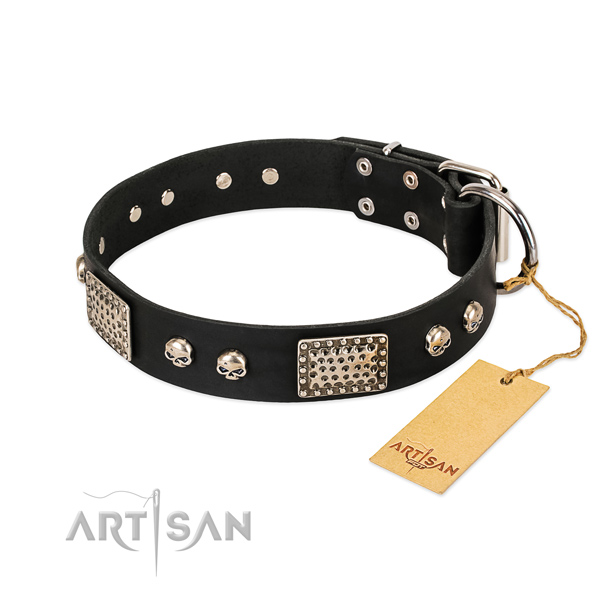 Adjustable full grain leather dog collar for stylish walking your doggie