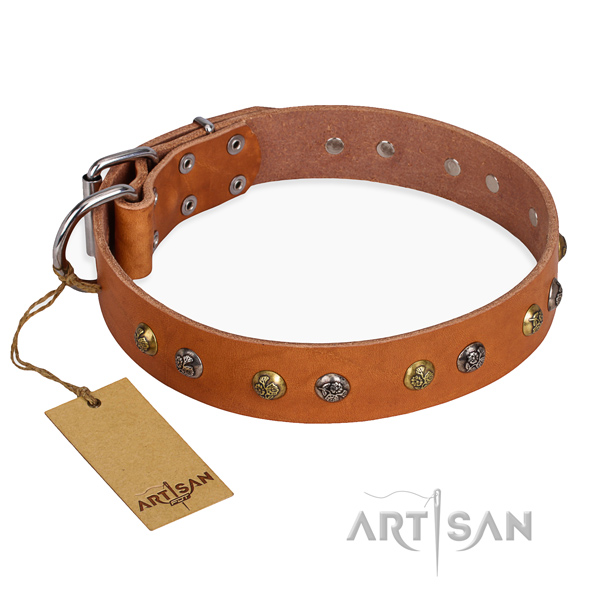 Handy use fine quality dog collar with durable hardware