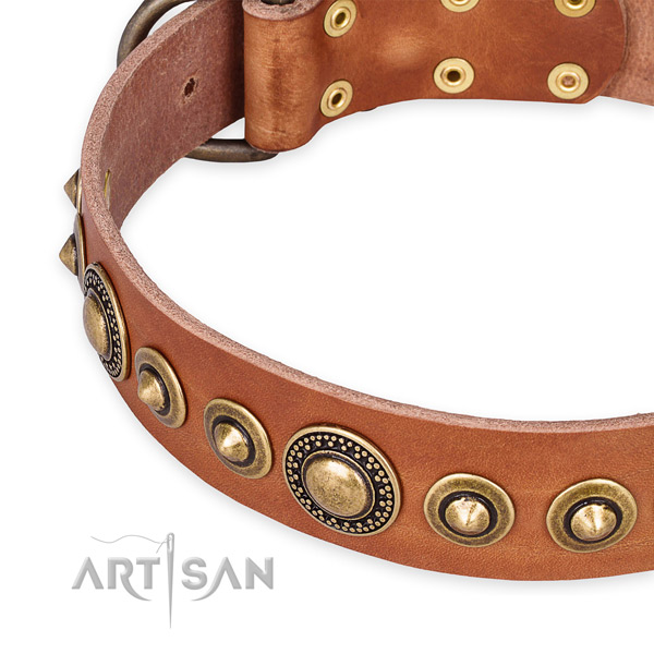 Strong full grain leather dog collar created for your handsome pet