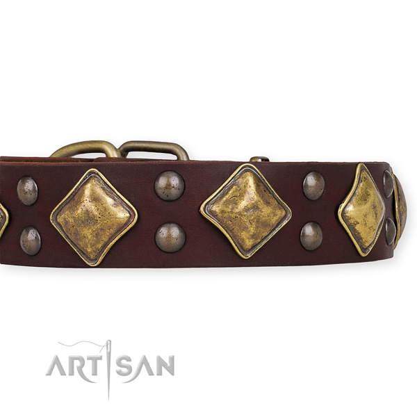Natural leather dog collar with fashionable corrosion proof adornments