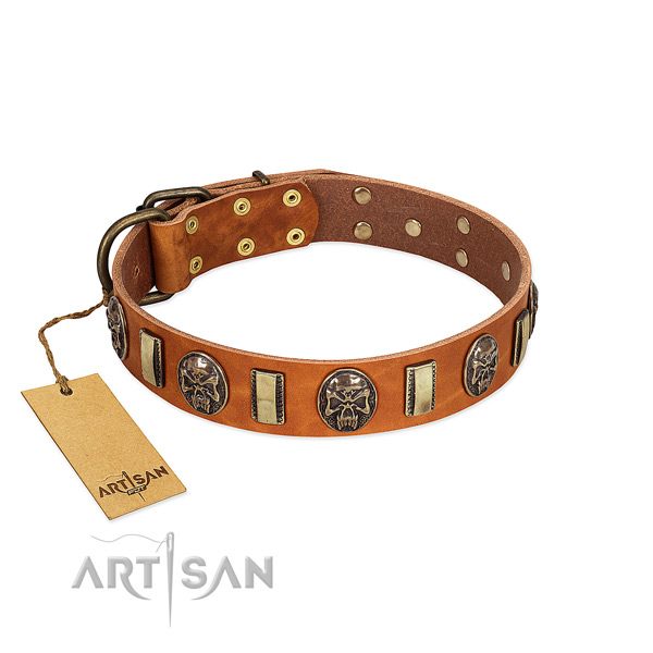 Amazing full grain leather dog collar for daily walking