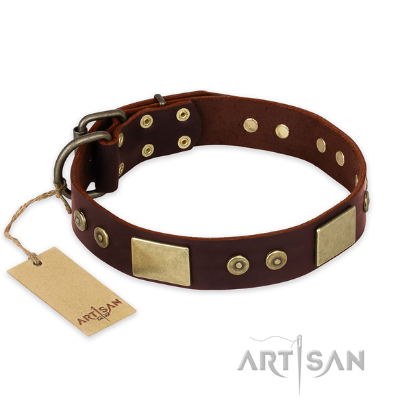 Extraordinary genuine leather dog collar for everyday walking