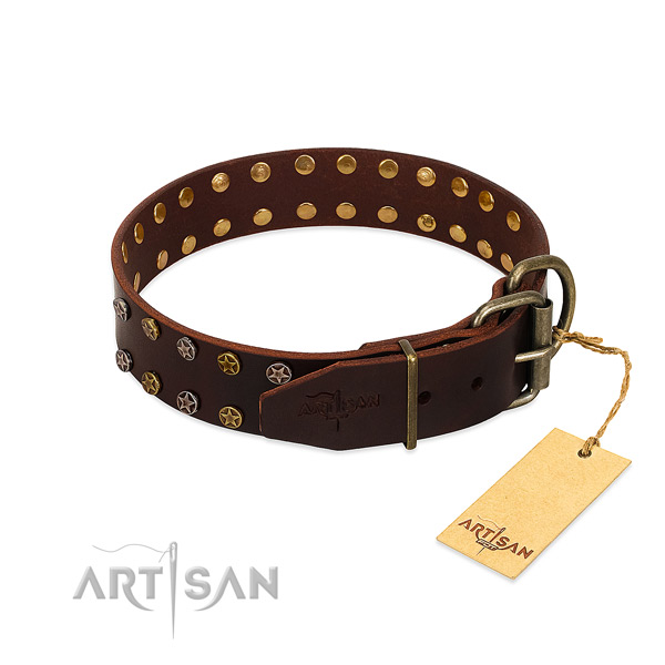 Fancy walking full grain genuine leather dog collar with significant embellishments