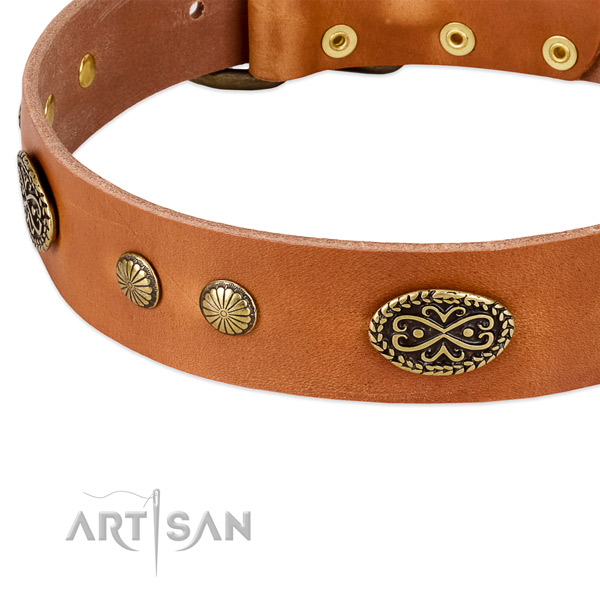 Rust resistant buckle on full grain natural leather dog collar for your canine