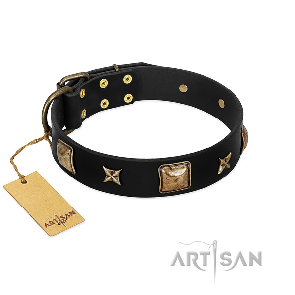 Natural leather dog collar of best quality material with fashionable studs