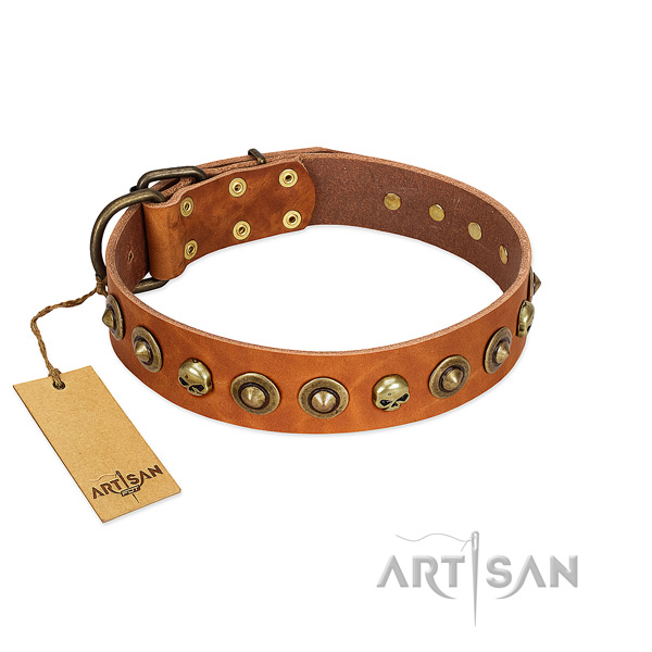 Natural leather collar with trendy embellishments for your four-legged friend