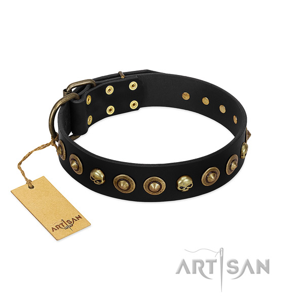 Full grain genuine leather collar with trendy decorations for your canine
