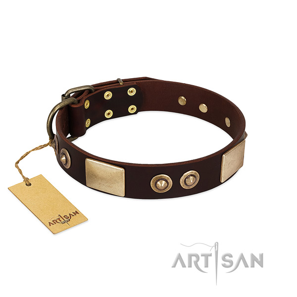 Easy wearing full grain natural leather dog collar for walking your doggie
