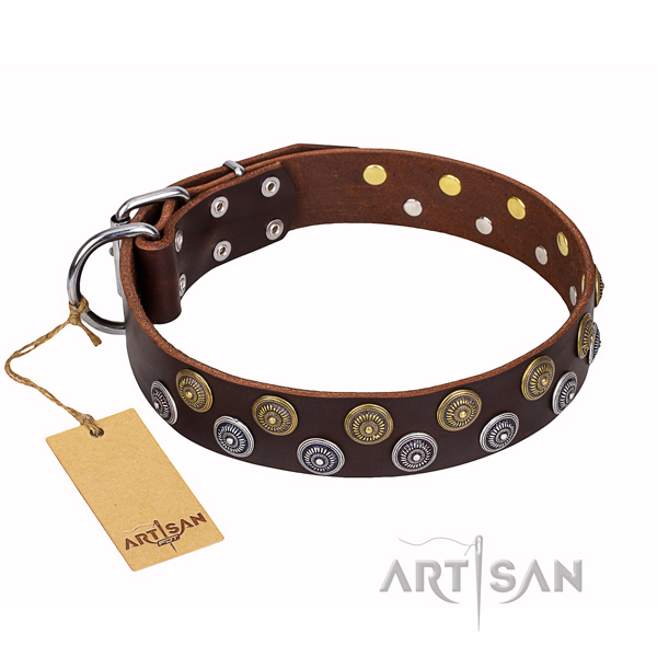 Comfy wearing dog collar of reliable natural leather with embellishments