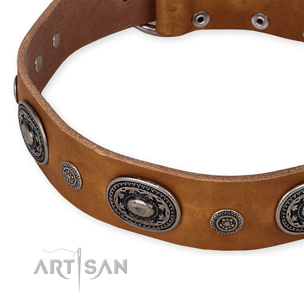 Best quality genuine leather dog collar created for your beautiful dog