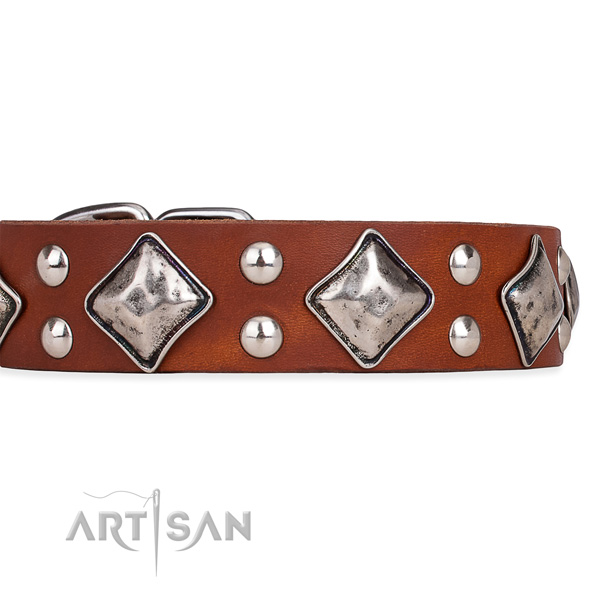 Full grain genuine leather dog collar with stylish design reliable decorations