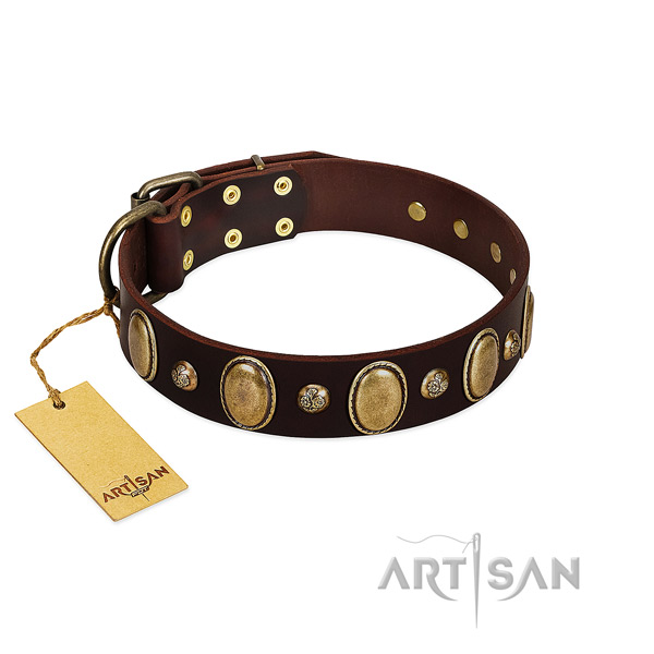 Full grain natural leather dog collar of flexible material with awesome studs