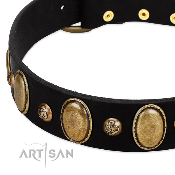 Full grain natural leather dog collar with significant embellishments
