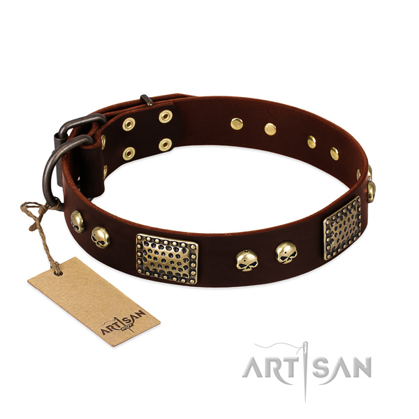 Easy to adjust full grain natural leather dog collar for everyday walking your canine