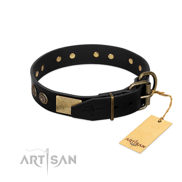 Durable adornments on natural leather dog collar for your four-legged friend