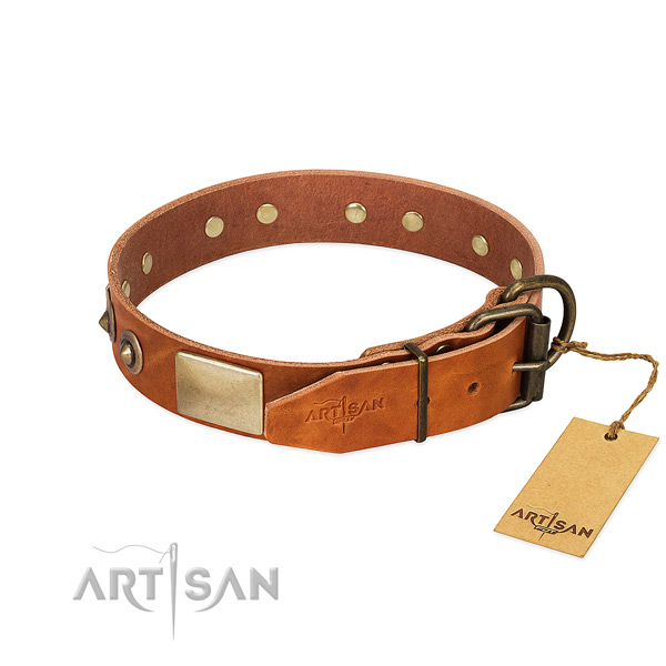 Durable adornments on daily use dog collar