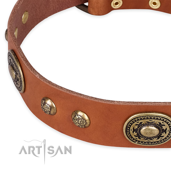Handmade genuine leather collar for your attractive dog