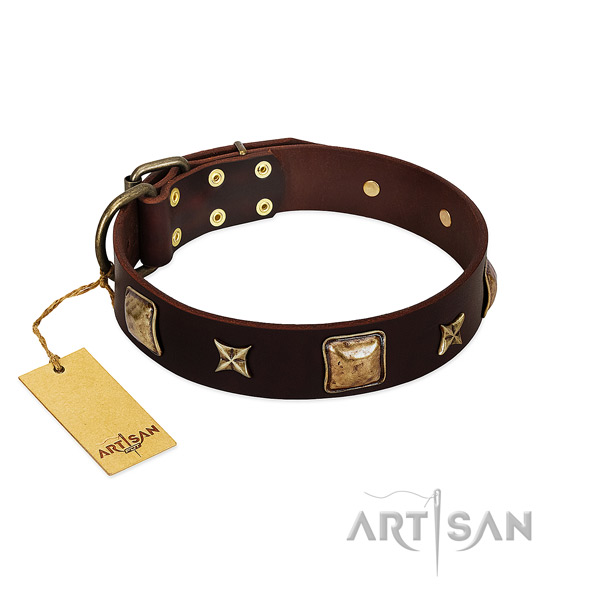 Convenient genuine leather collar for your four-legged friend