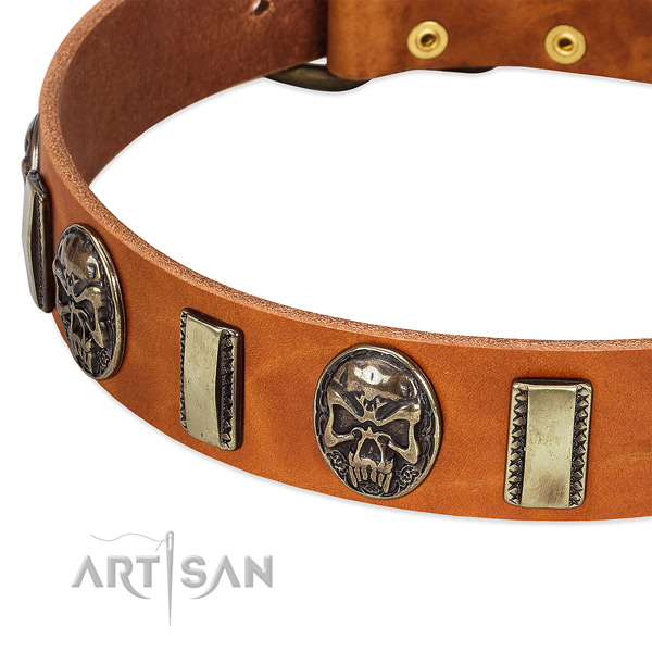 Reliable decorations on leather dog collar for your canine