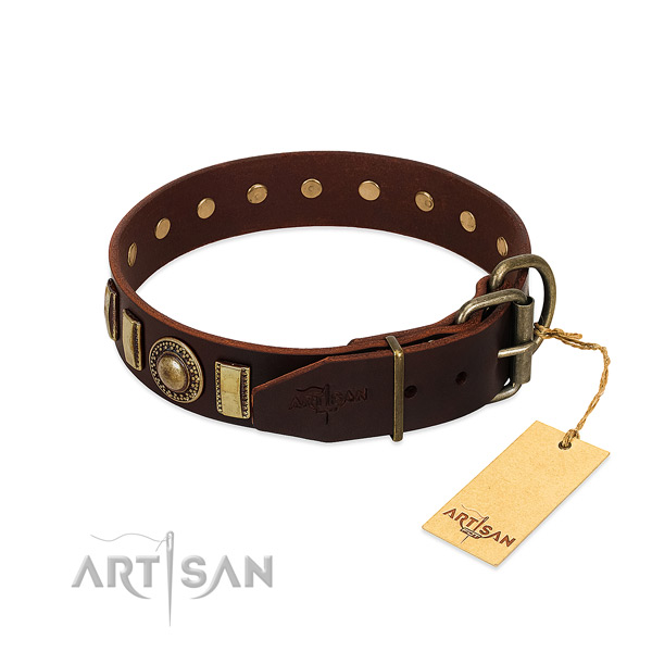 Fashionable leather dog collar with rust-proof D-ring