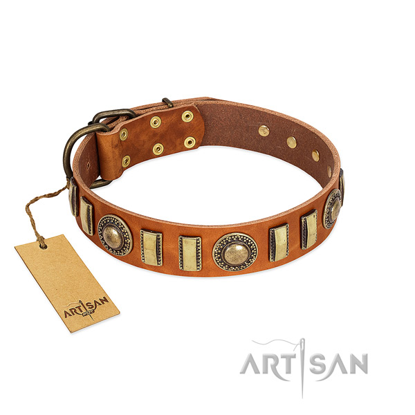 Trendy natural leather dog collar with rust-proof fittings