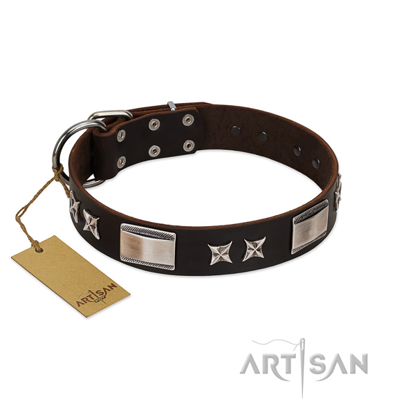 Stylish dog collar of full grain leather