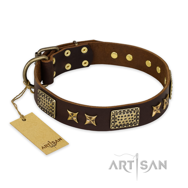 Embellished full grain leather dog collar with corrosion proof D-ring
