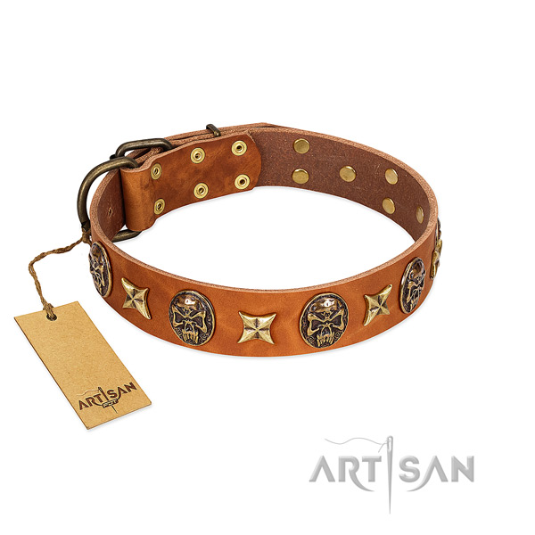 Stunning full grain leather collar for your pet