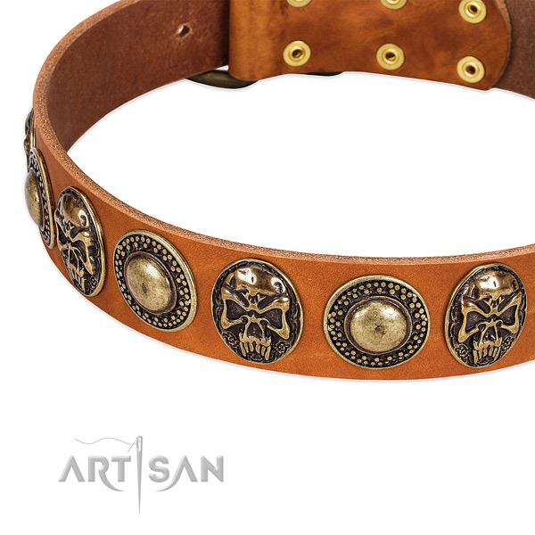 Strong adornments on genuine leather dog collar for your doggie