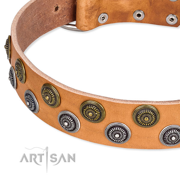 Daily use adorned dog collar of fine quality natural leather