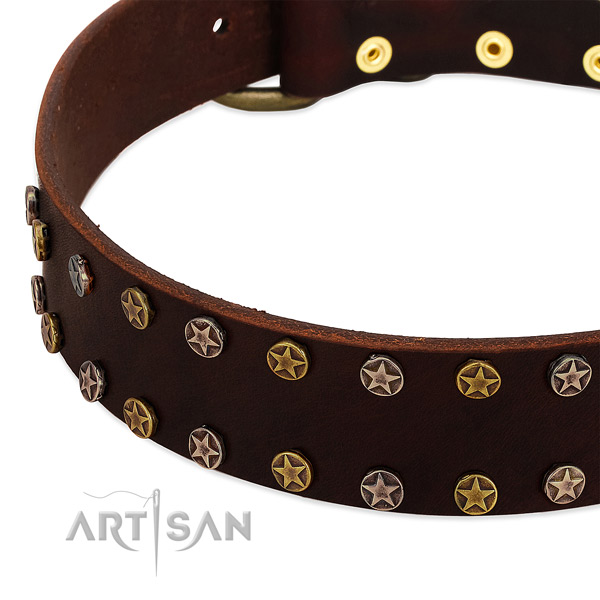 Comfortable wearing full grain leather dog collar with trendy adornments