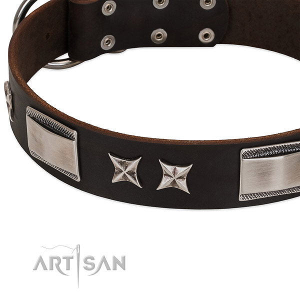 Exceptional collar of full grain leather for your beautiful dog