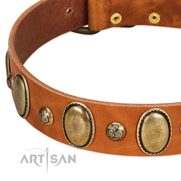 Full grain natural leather dog collar with designer studs