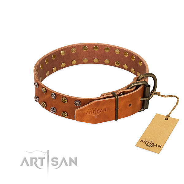 Walking genuine leather dog collar with exceptional decorations