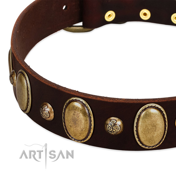 Leather dog collar with awesome adornments