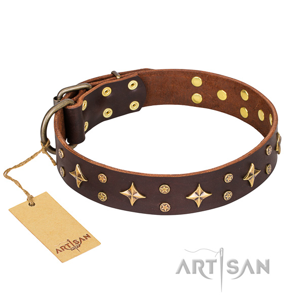 Daily walking dog collar of strong genuine leather with embellishments