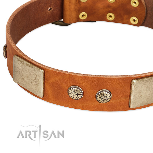 Reliable decorations on natural genuine leather dog collar for your pet