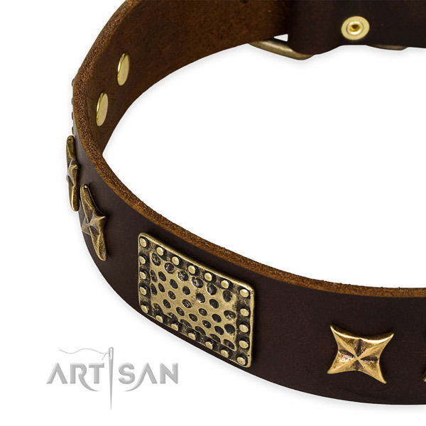 Genuine leather collar with corrosion resistant hardware for your impressive pet