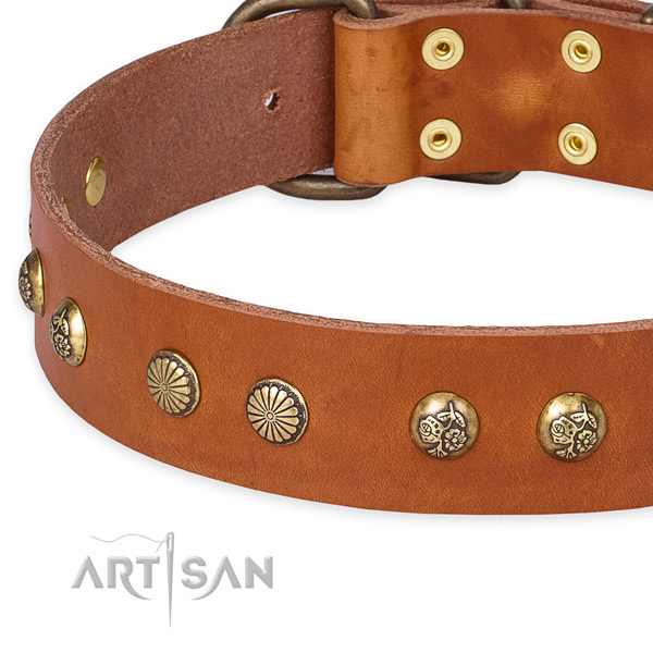 Genuine leather collar with rust resistant buckle for your beautiful pet