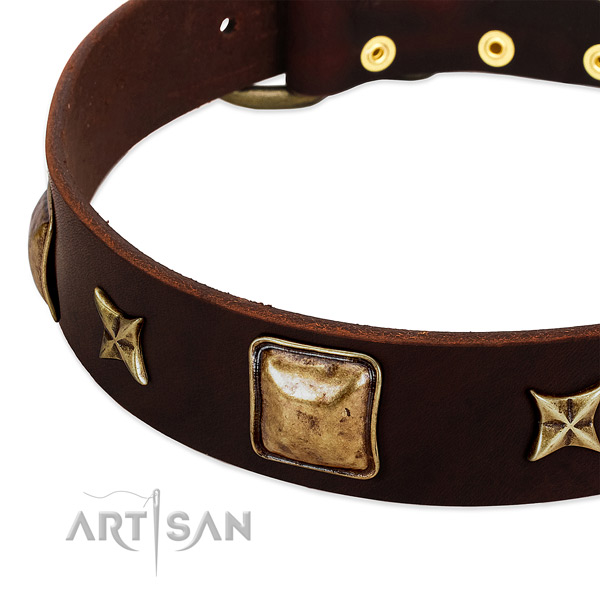 Corrosion resistant traditional buckle on natural genuine leather dog collar for your doggie