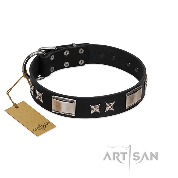 Significant dog collar of leather