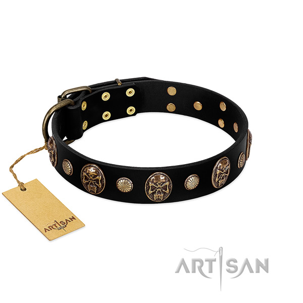 Full grain genuine leather dog collar with durable embellishments