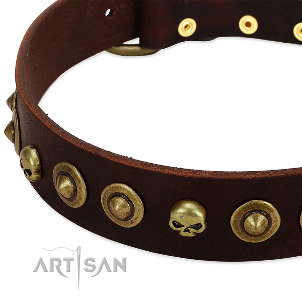Remarkable embellishments on natural leather collar for your canine