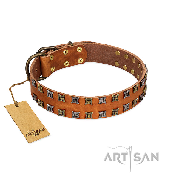 Durable full grain genuine leather dog collar with adornments for your four-legged friend