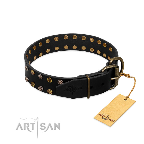 Natural leather collar with exquisite embellishments for your four-legged friend