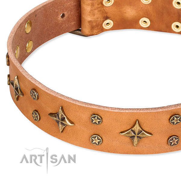 Everyday use decorated dog collar of durable natural leather