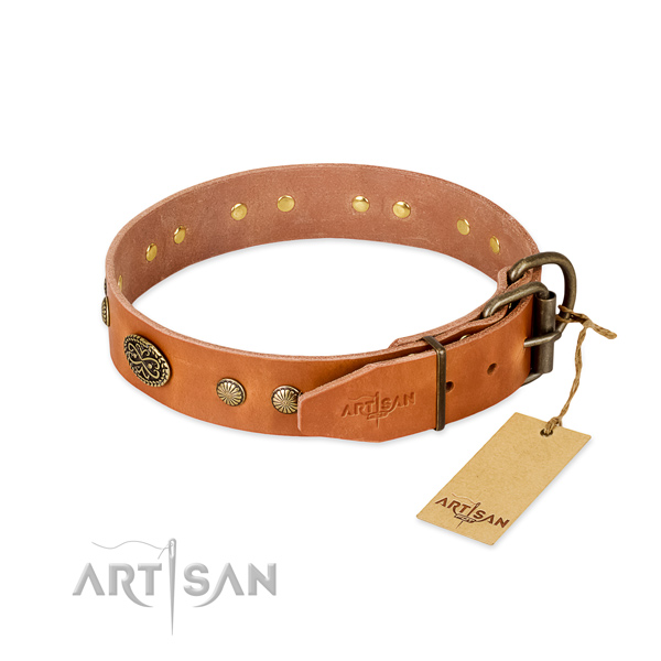 Durable embellishments on full grain natural leather dog collar for your four-legged friend