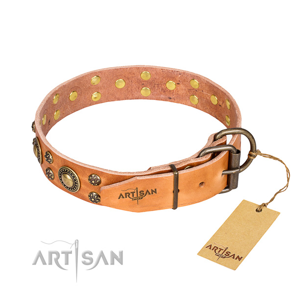 Comfortable wearing studded dog collar of top quality leather