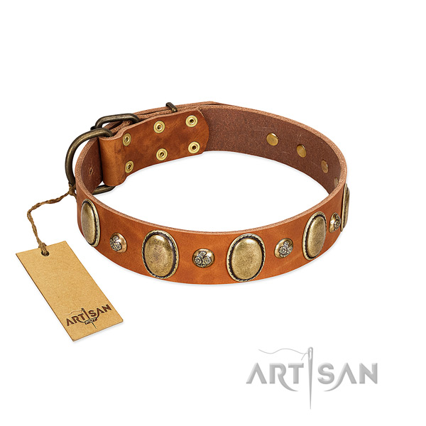 Full grain genuine leather dog collar of gentle to touch material with stylish adornments