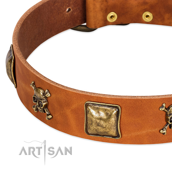 Stunning genuine leather dog collar with rust-proof decorations
